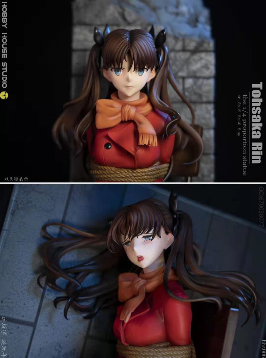 Rin Tohsaka Imprison [DX version] – Fate