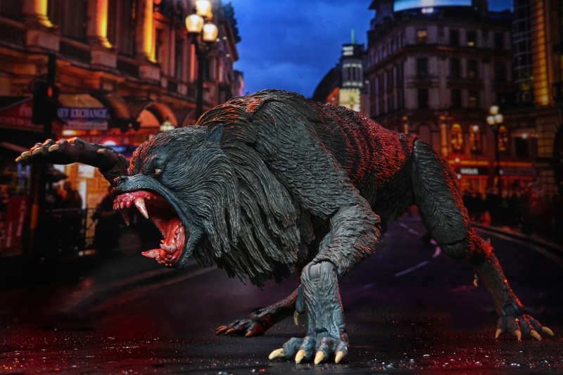 An American Werewolf – Ultimate Kessler Wolf