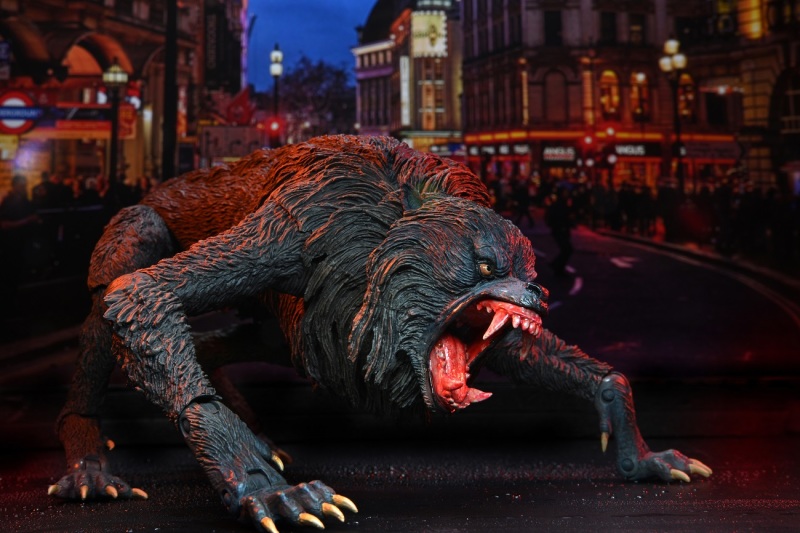 An American Werewolf – Ultimate Kessler Wolf