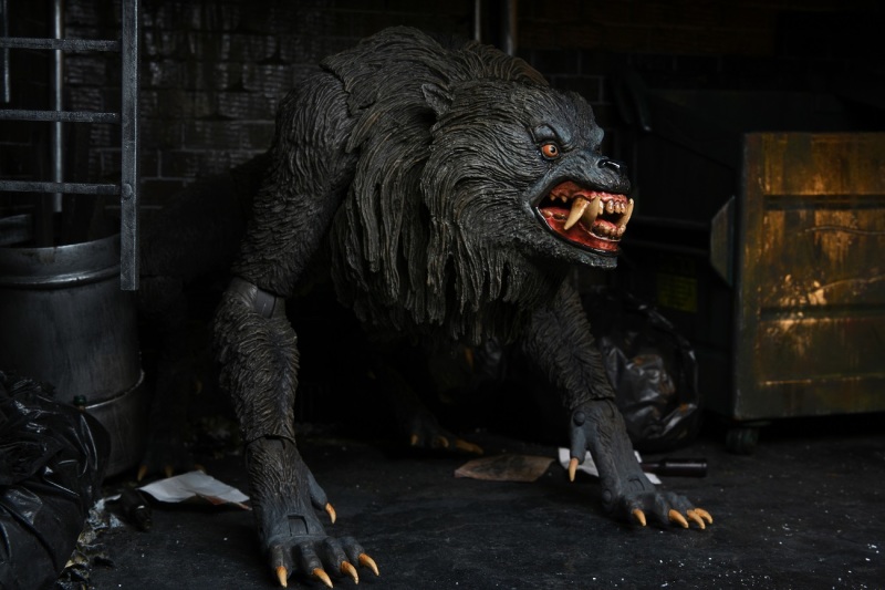 An American Werewolf – Ultimate Kessler Wolf