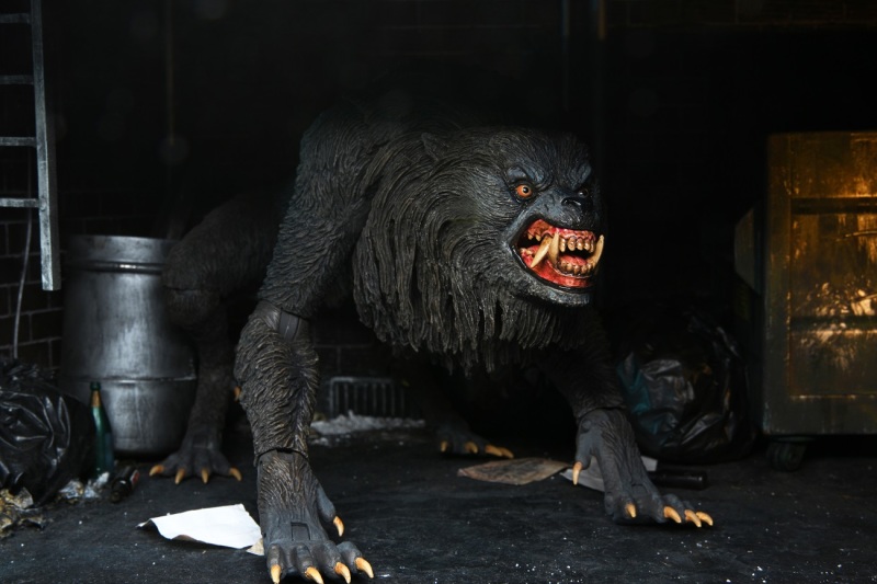 An American Werewolf – Ultimate Kessler Wolf
