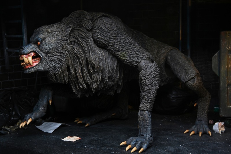 An American Werewolf – Ultimate Kessler Wolf