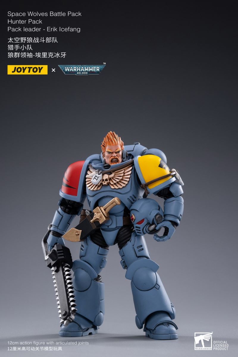 Space Wolf Fighting Unit-Hunter Squad & Undefeated Armor 1/18