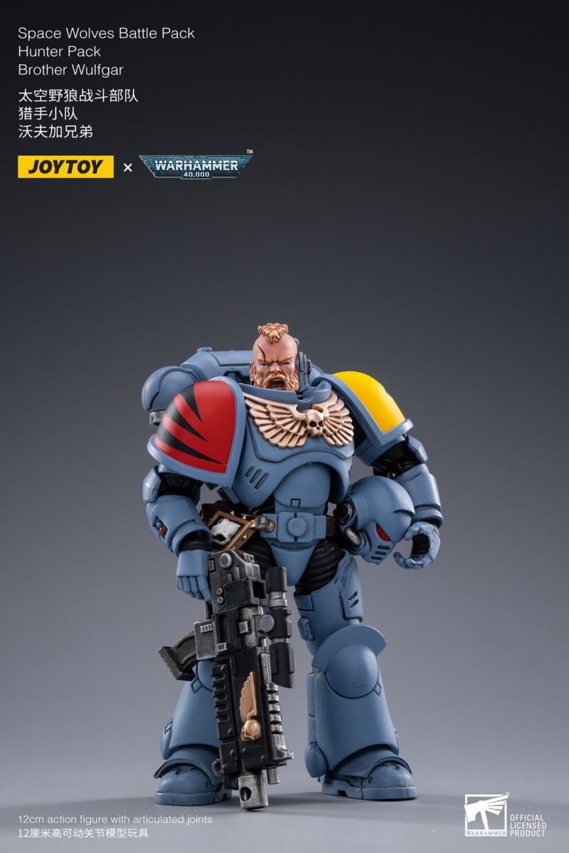 Space Wolf Fighting Unit-Hunter Squad & Undefeated Armor 1/18
