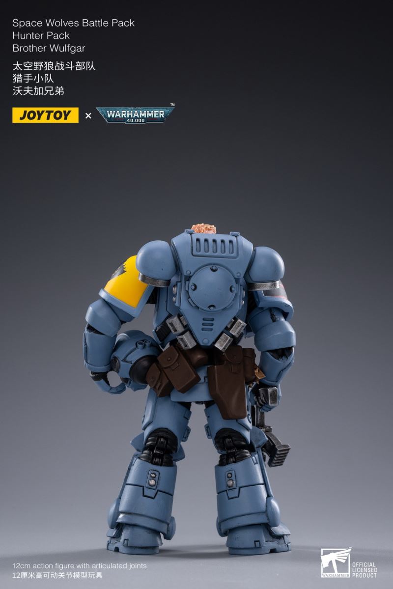 Space Wolf Fighting Unit-Hunter Squad & Undefeated Armor 1/18