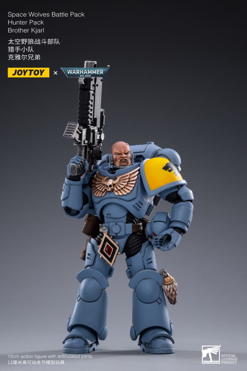 Space Wolf Fighting Unit-Hunter Squad & Undefeated Armor 1/18