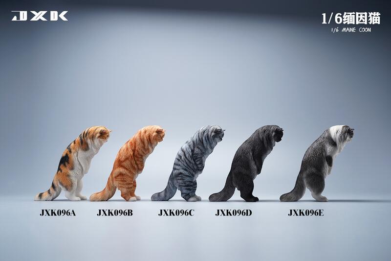 Maine Coon Cat 1/6