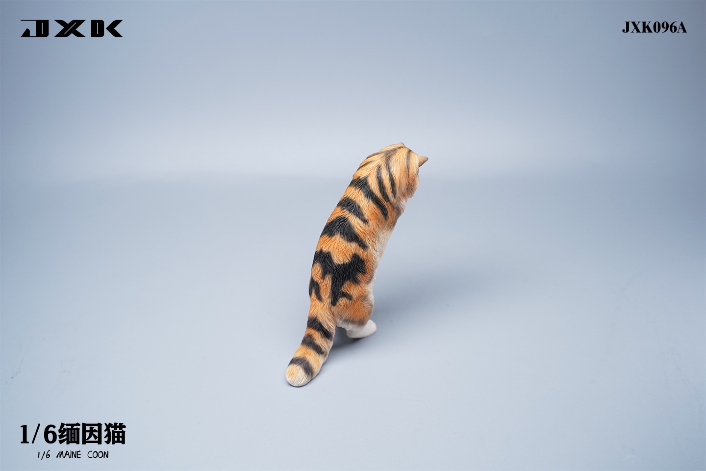 Maine Coon Cat 1/6