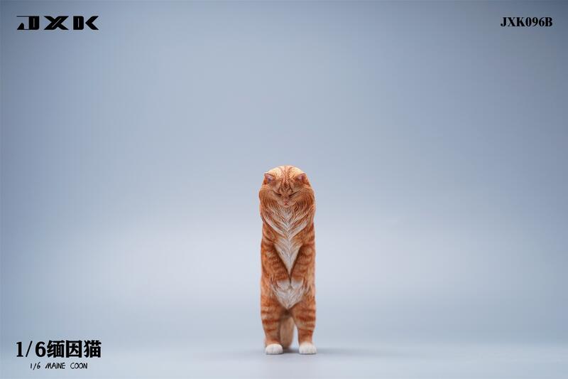 Maine Coon Cat 1/6