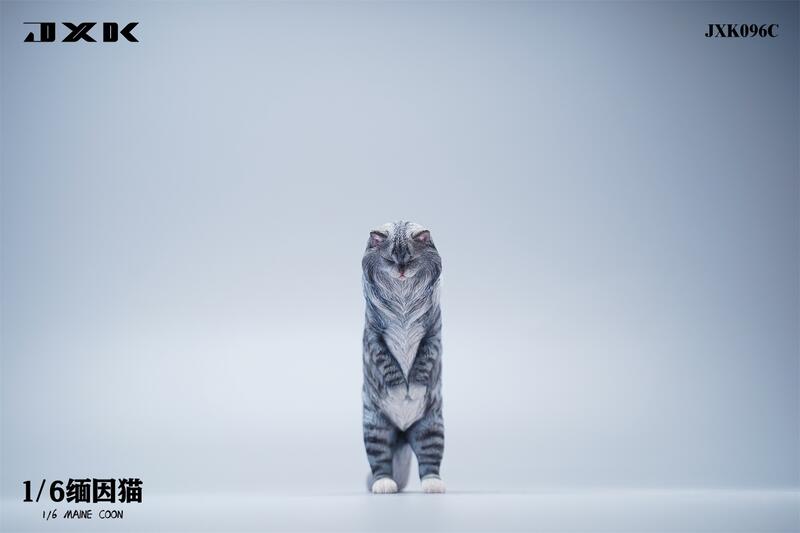 Maine Coon Cat 1/6