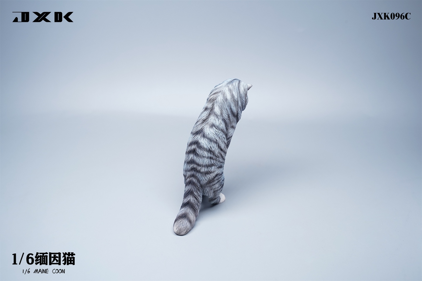 Maine Coon Cat 1/6