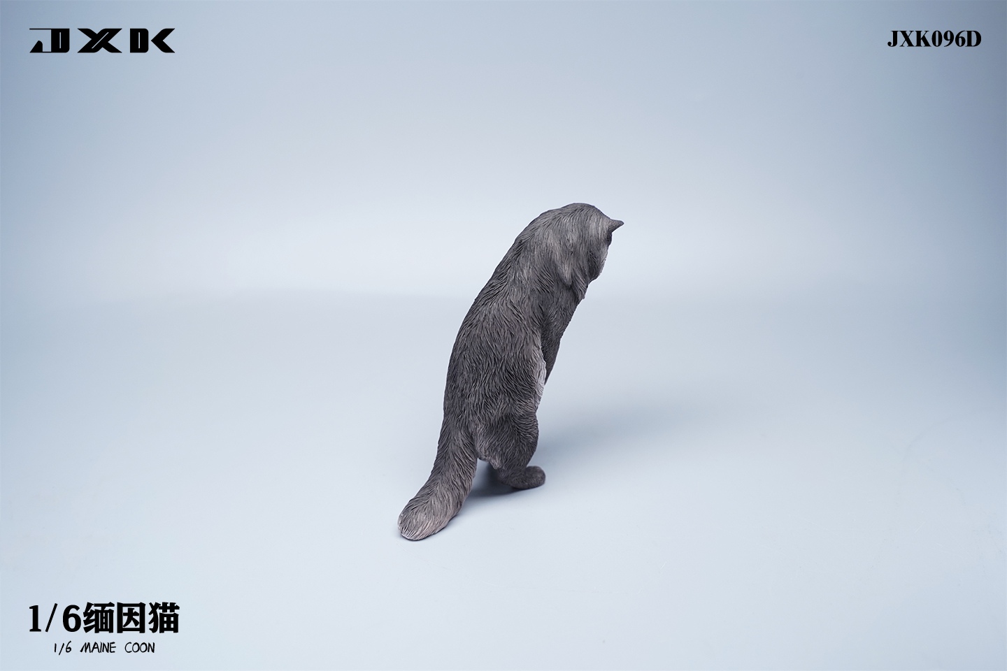 Maine Coon Cat 1/6