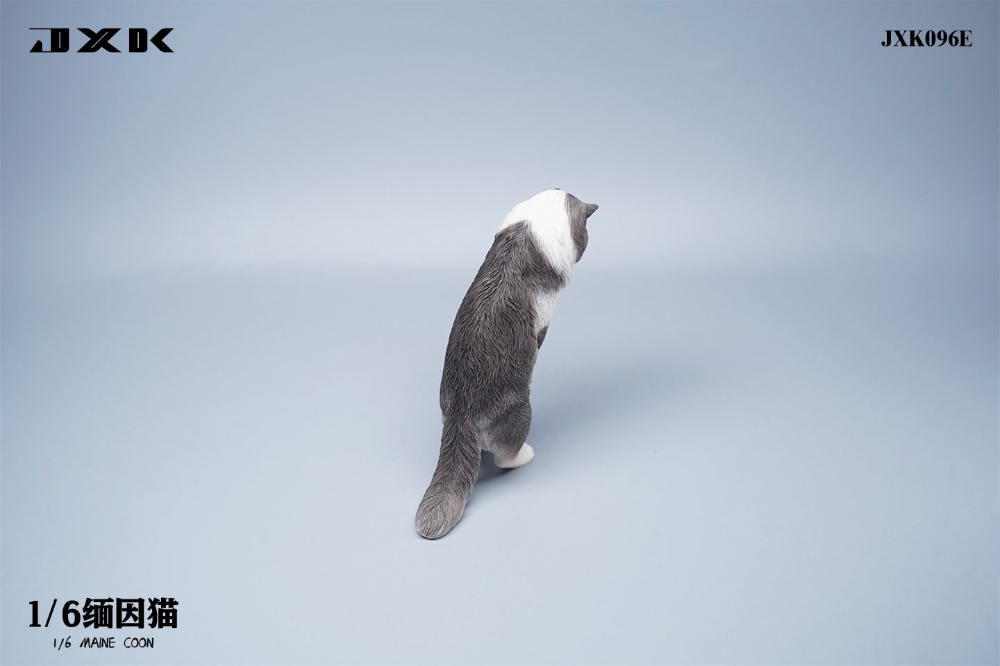 Maine Coon Cat 1/6