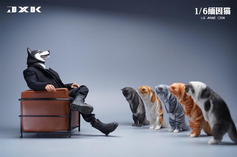 Maine Coon Cat 1/6