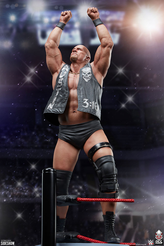 WWE World Stone Cold Steve Austin