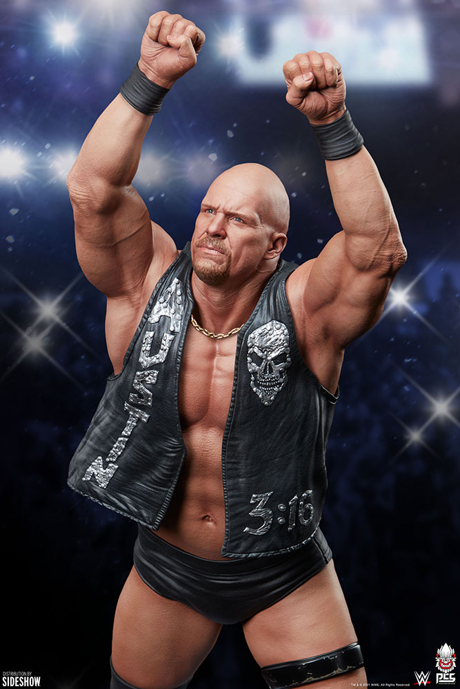 WWE World Stone Cold Steve Austin
