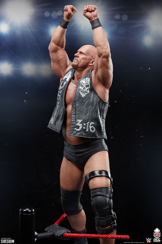 WWE World Stone Cold Steve Austin