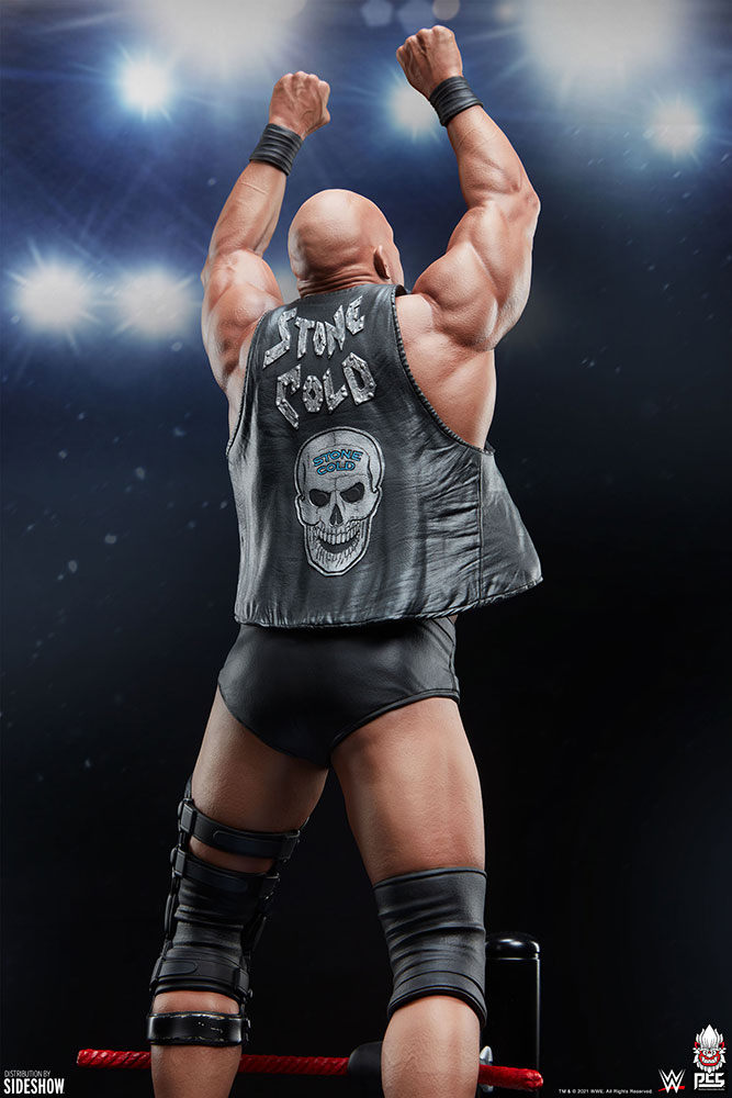 WWE World Stone Cold Steve Austin