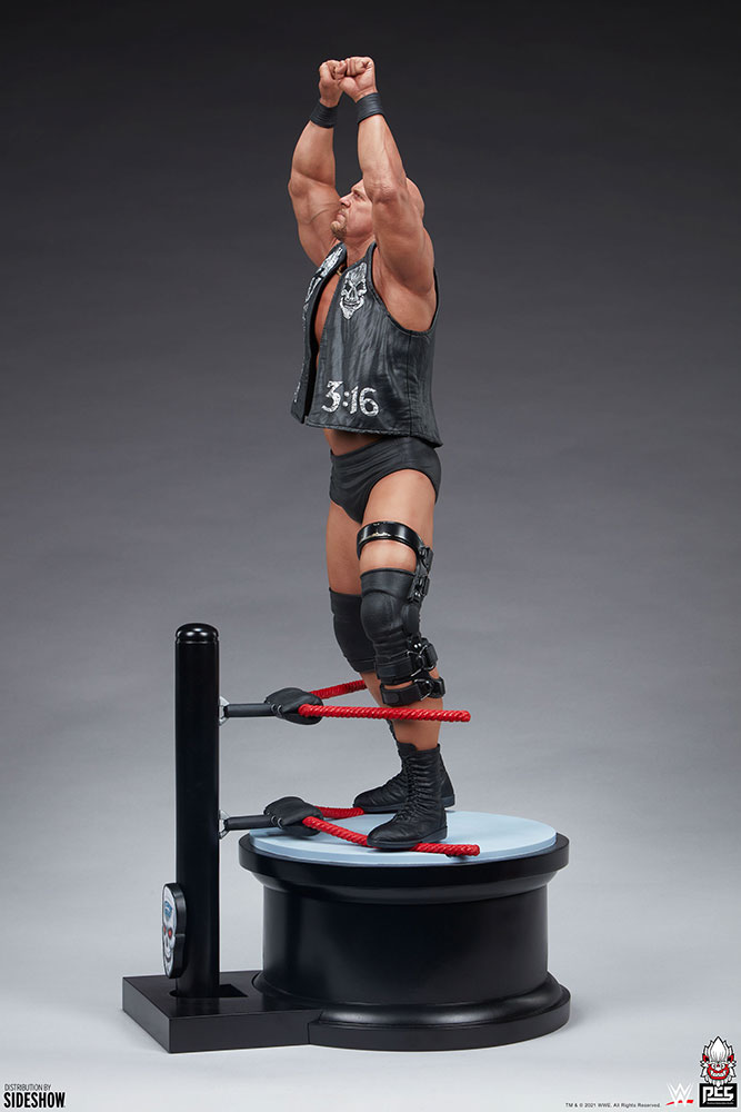 WWE World Stone Cold Steve Austin