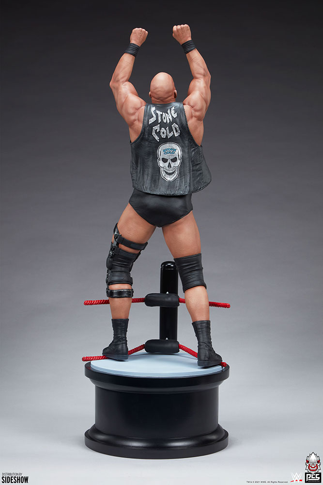 WWE World Stone Cold Steve Austin
