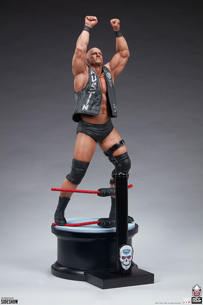 WWE World Stone Cold Steve Austin