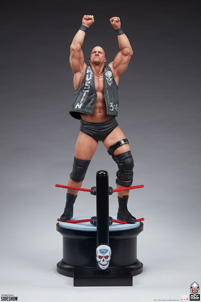 WWE World Stone Cold Steve Austin