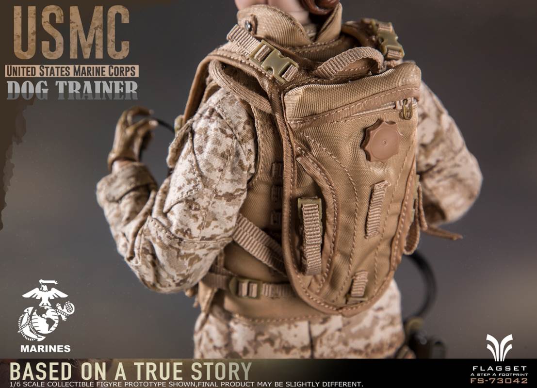 US Marine Corps female dog trainer 1/6