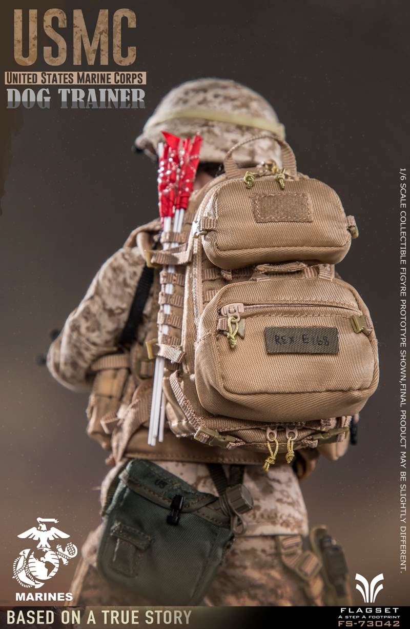 US Marine Corps female dog trainer 1/6