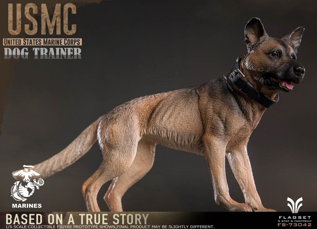 US Marine Corps female dog trainer 1/6