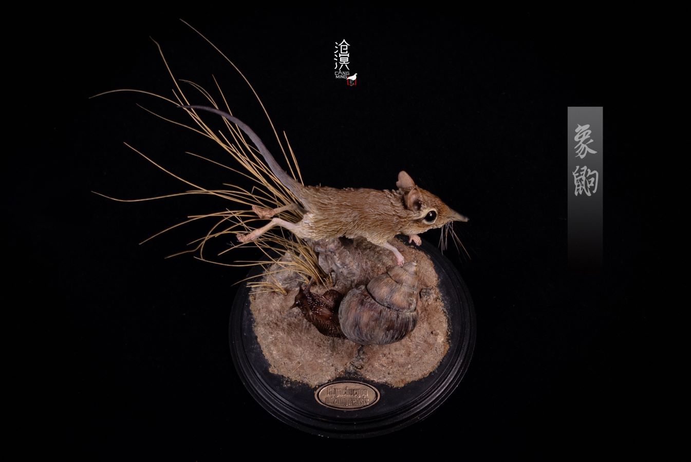 BBC documentary The Hidden Kingdom Realistic Statue of Elephant Shrew