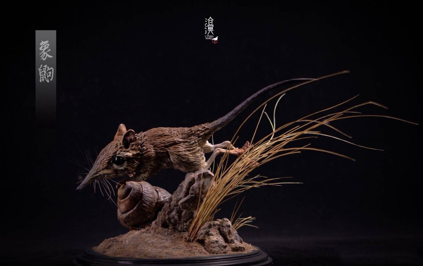 BBC documentary The Hidden Kingdom Realistic Statue of Elephant Shrew