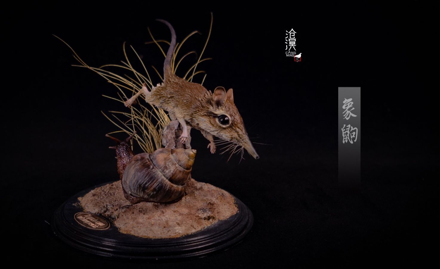 BBC documentary The Hidden Kingdom Realistic Statue of Elephant Shrew