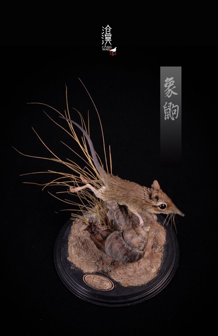 BBC documentary The Hidden Kingdom Realistic Statue of Elephant Shrew