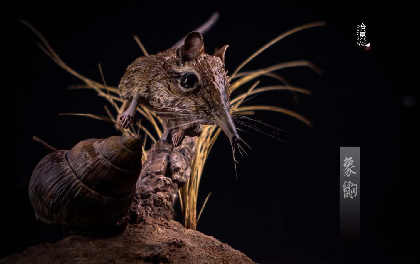 BBC documentary The Hidden Kingdom Realistic Statue of Elephant Shrew