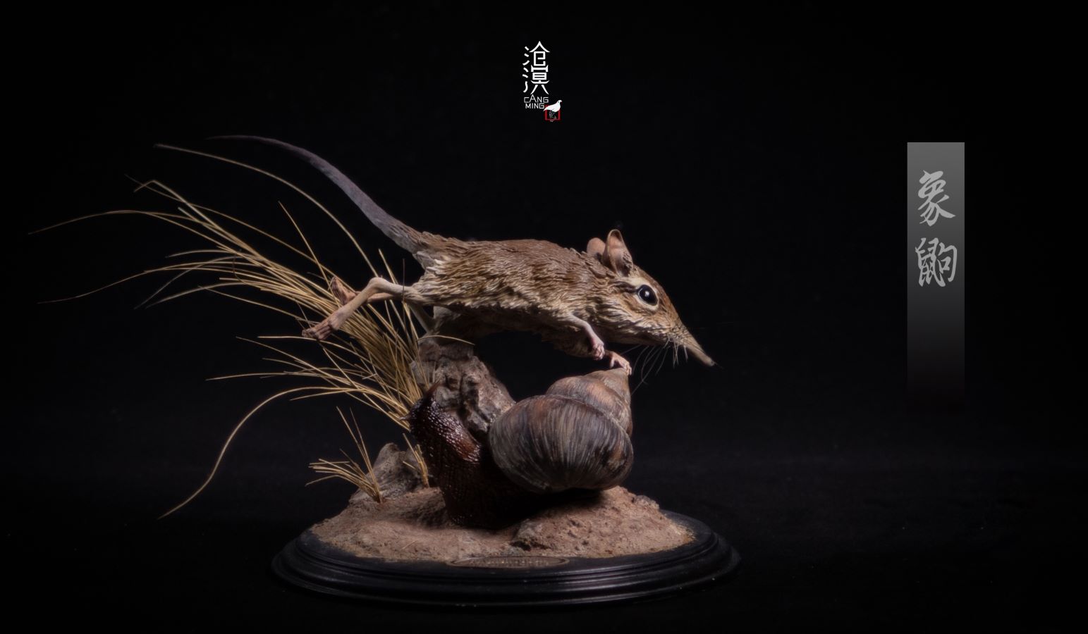 BBC documentary The Hidden Kingdom Realistic Statue of Elephant Shrew