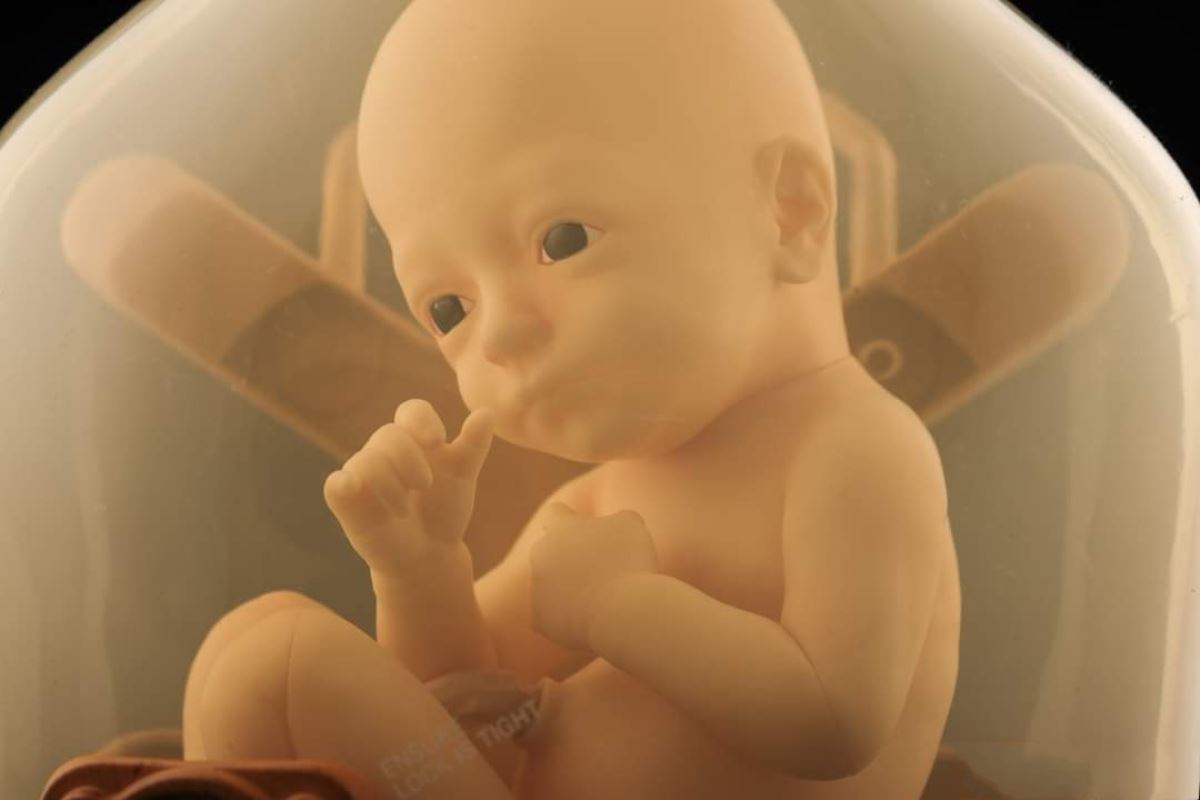 Death Stranding BBPOD LIKE version 1/1