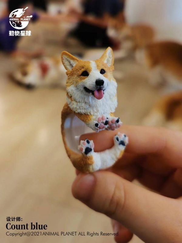 Count Blue Ring Dog