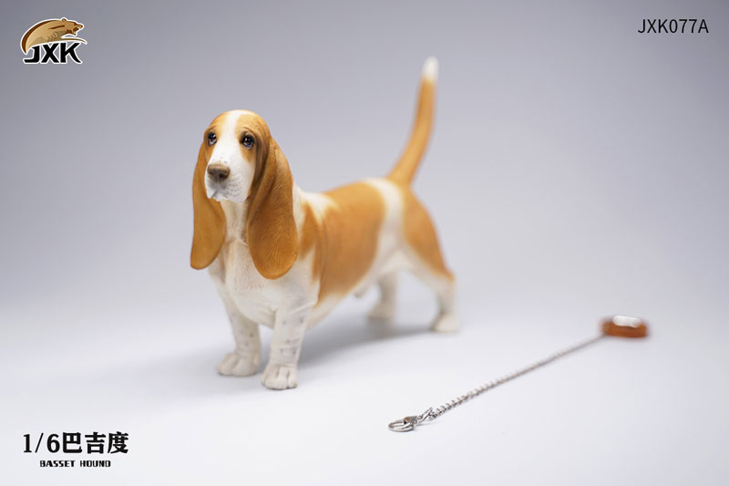 Basset Hound A 1/6