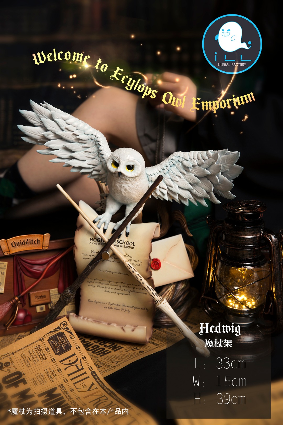 Admission notice - Harry Potter