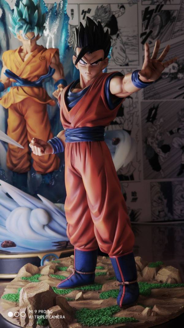 Mysterious Gohan