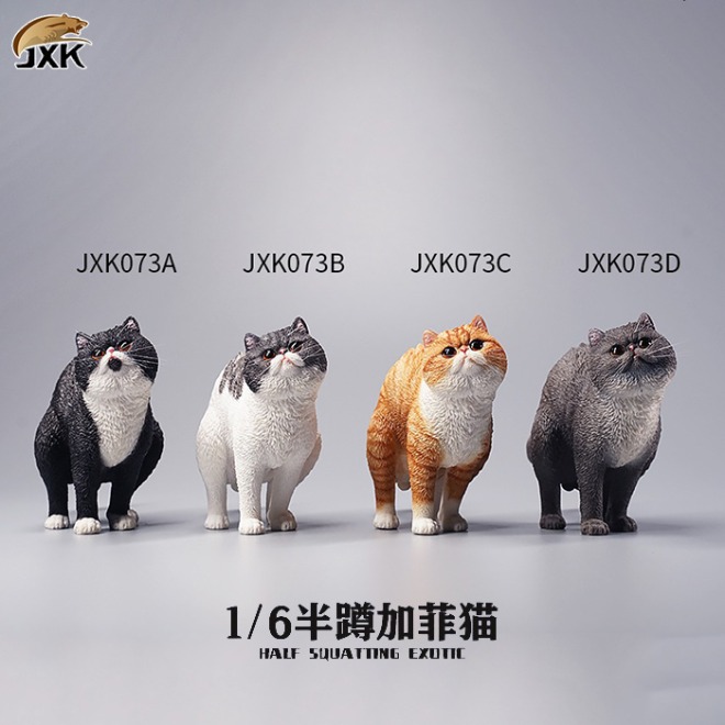 JXK073ABCD Half squatting ExoticShorthair 1/6
