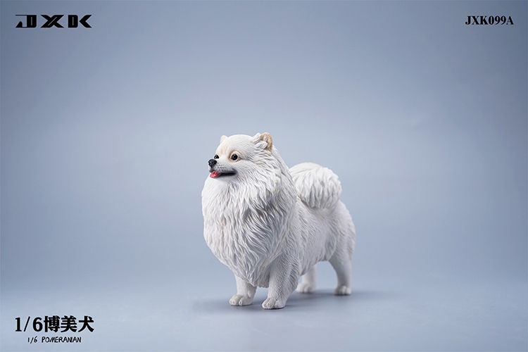 Pomeranian 1/6