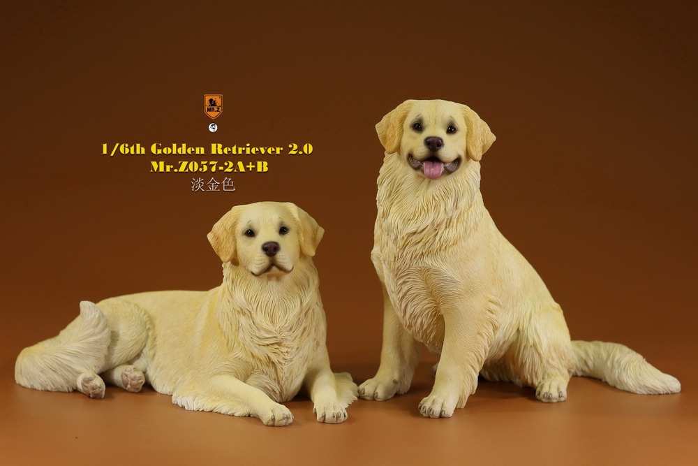 Golden retriever version 2.0 1/6