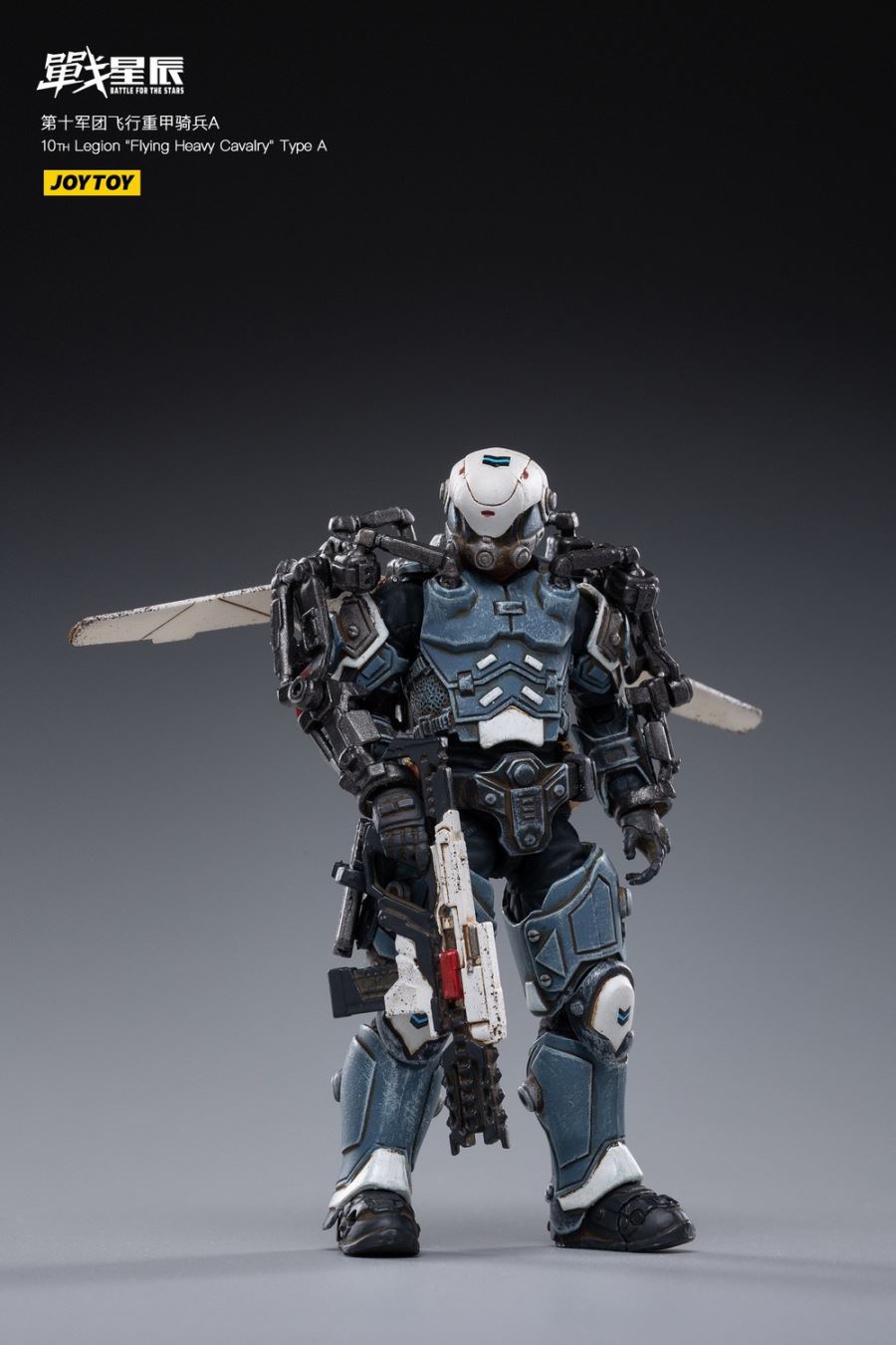 10TH Legion Flying Heavy Cavalry Type A