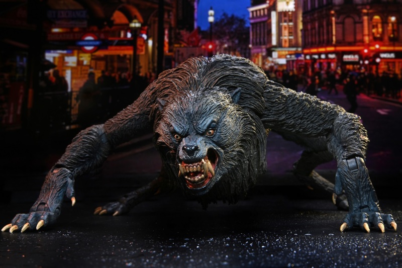 An American Werewolf – Ultimate Kessler Wolf