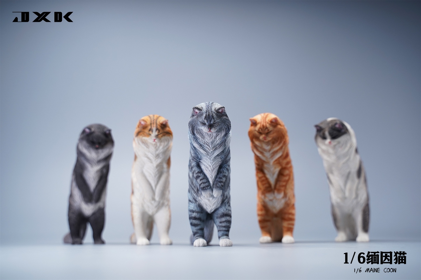 Maine Coon Cat 1/6