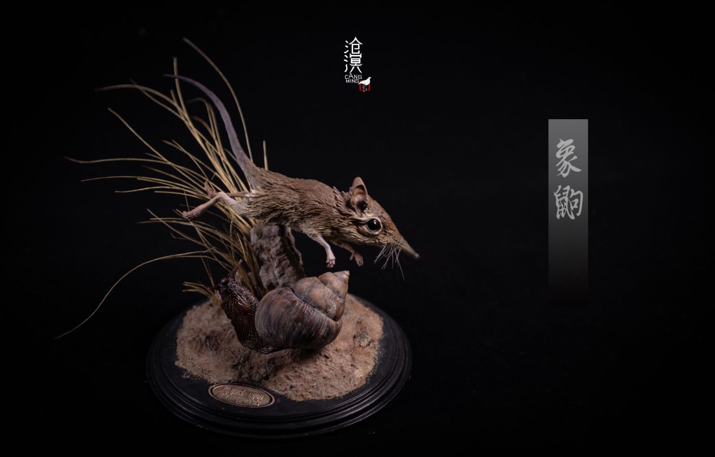 BBC documentary The Hidden Kingdom Realistic Statue of Elephant Shrew