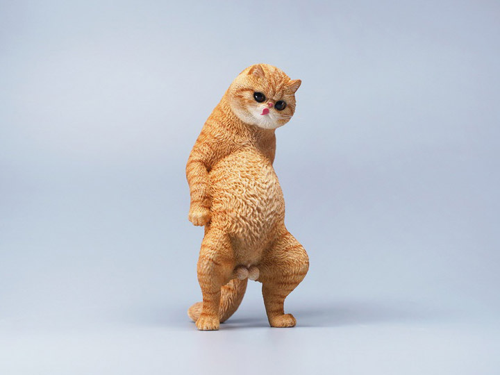 Exoticshorthair JXK088 1/6