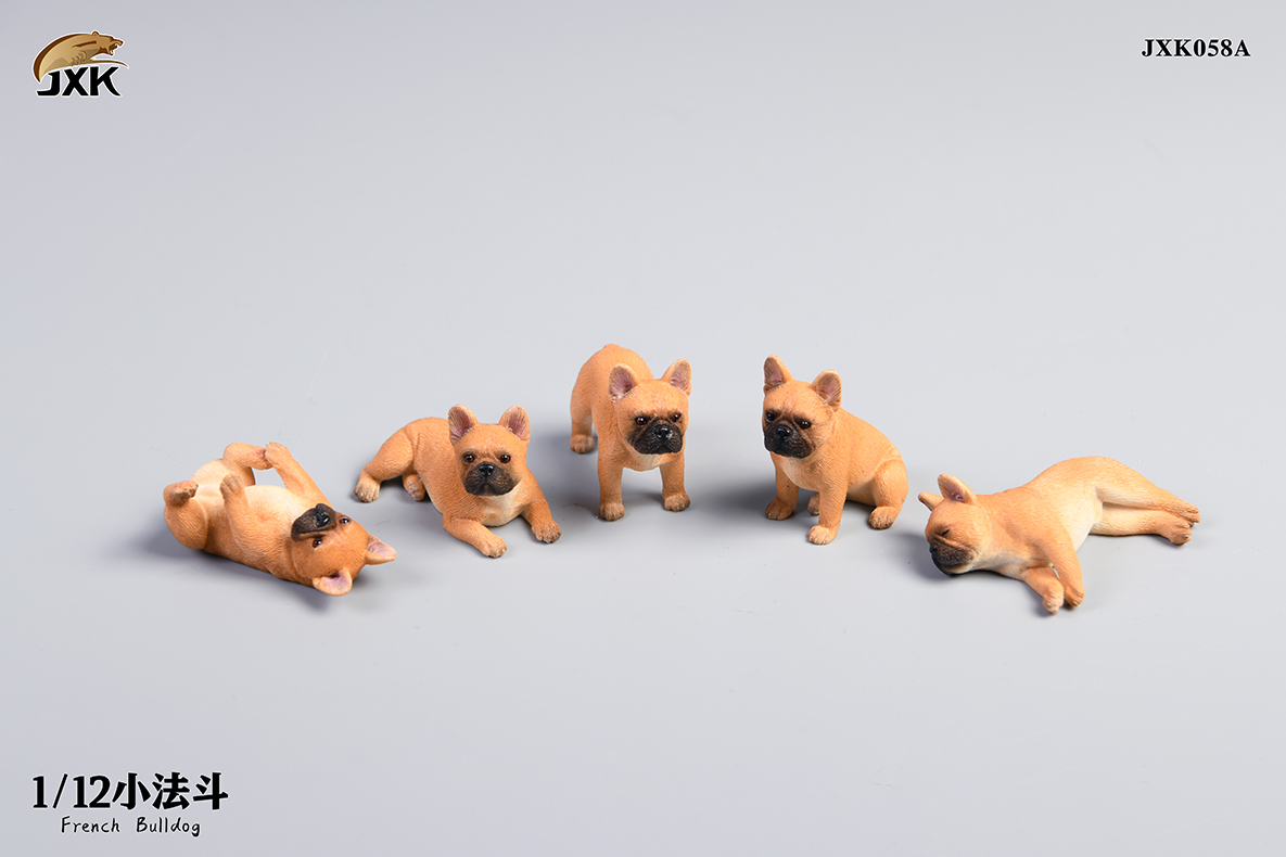 Miniature French bulldog 1/12
