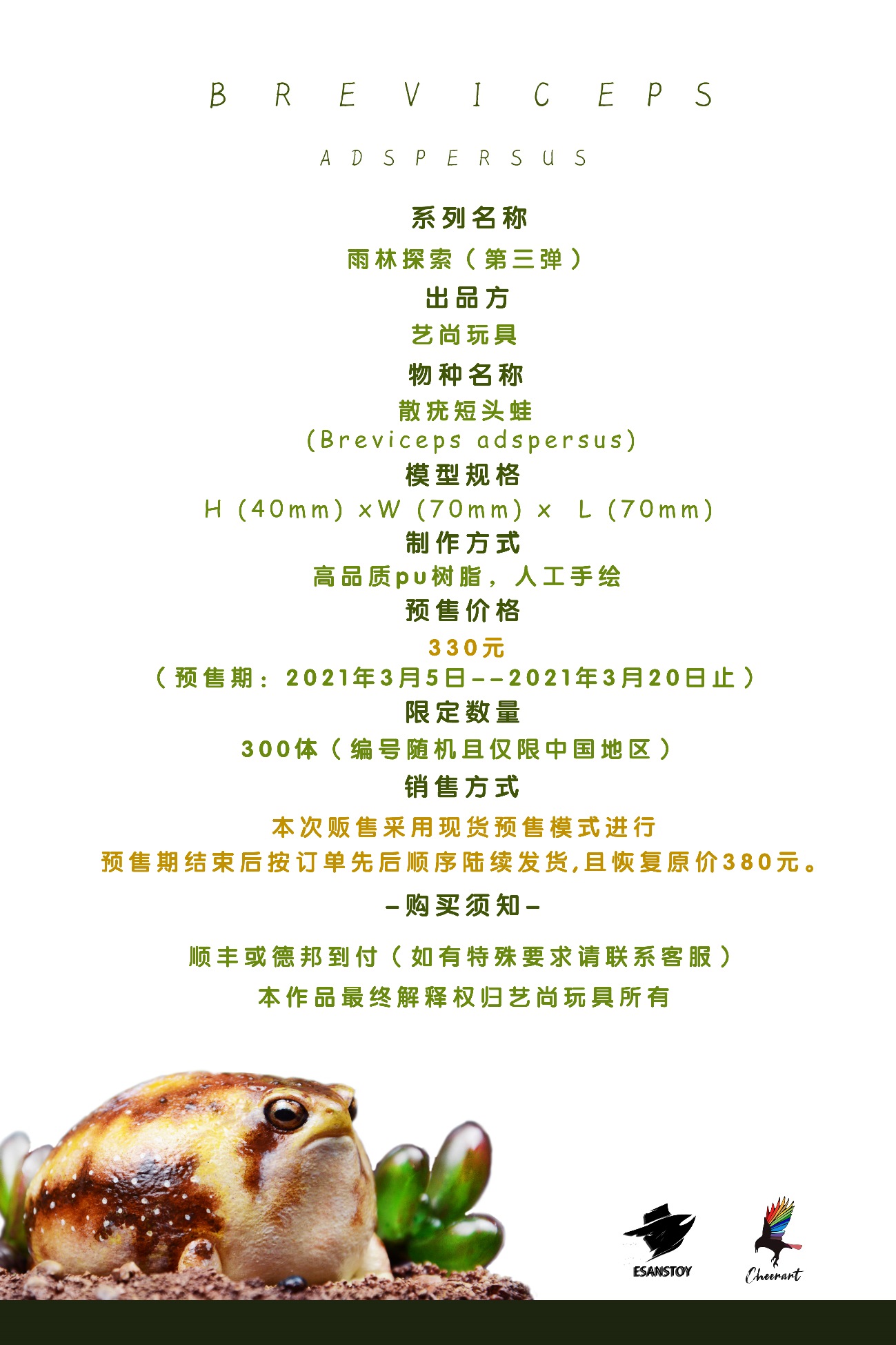 Rainforest Exploring the third round-short-headed frog with wart